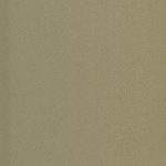 Bronze Claro / Champanhe (AC1B)